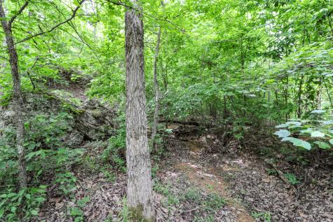 1855 Shiloh Church Road Camden TN 38320