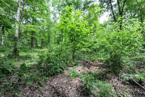 1855 Shiloh Church Road Camden TN 38320