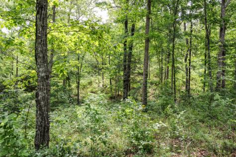 1855 Shiloh Church Road Camden TN 38320