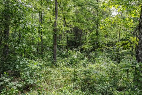 1855 Shiloh Church Road Camden TN 38320
