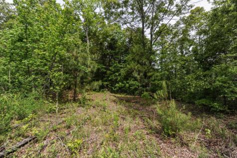 1855 Shiloh Church Road Camden TN 38320