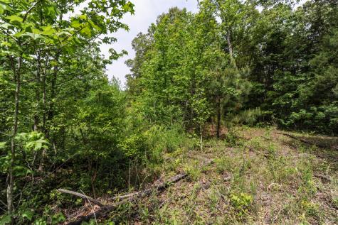 1855 Shiloh Church Road Camden TN 38320