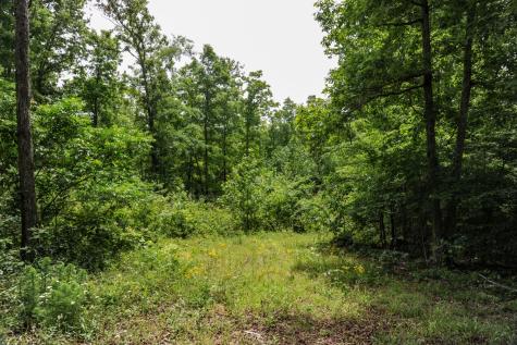 1855 Shiloh Church Road Camden TN 38320