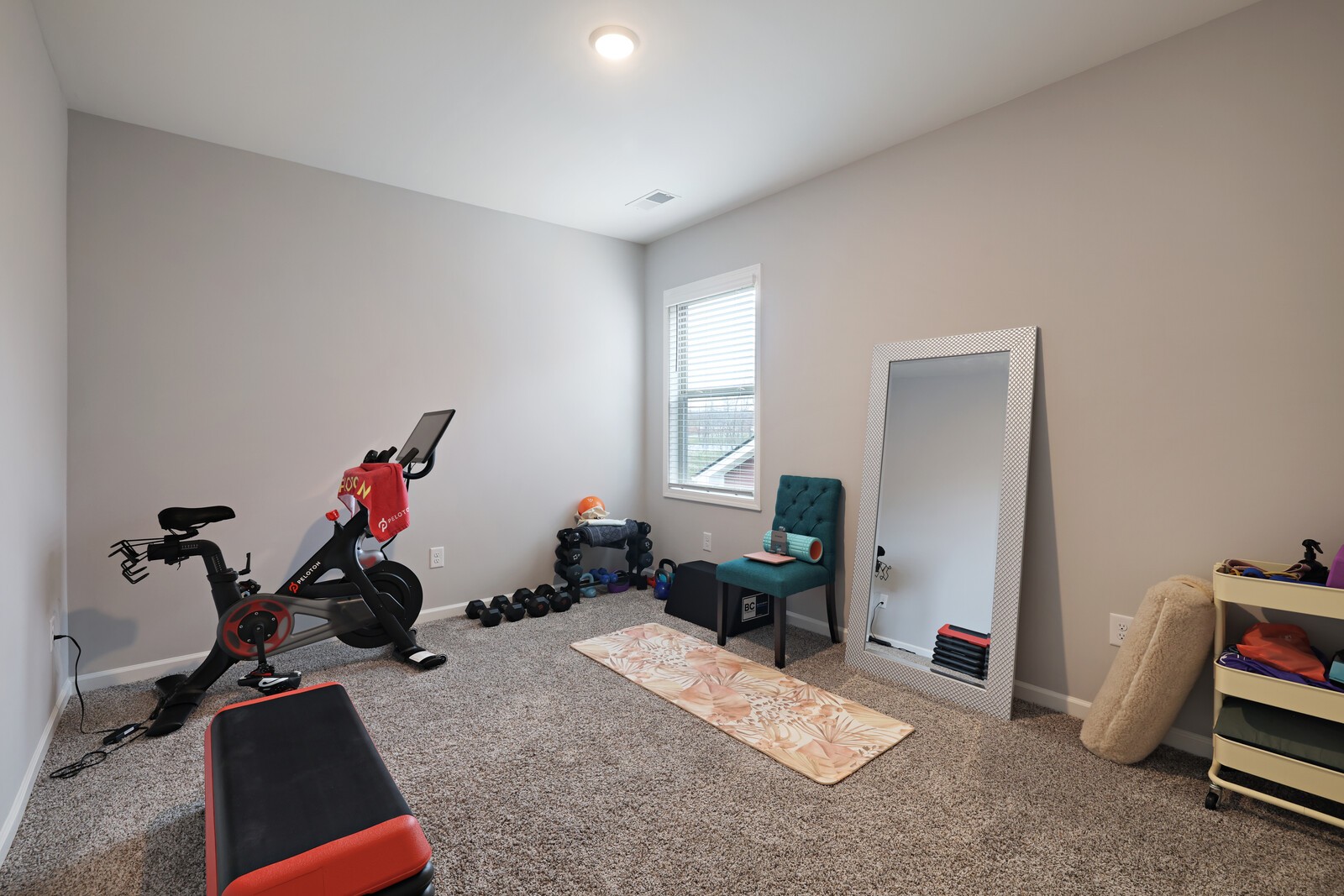 315 Carver Connection Lebanon TN 37087