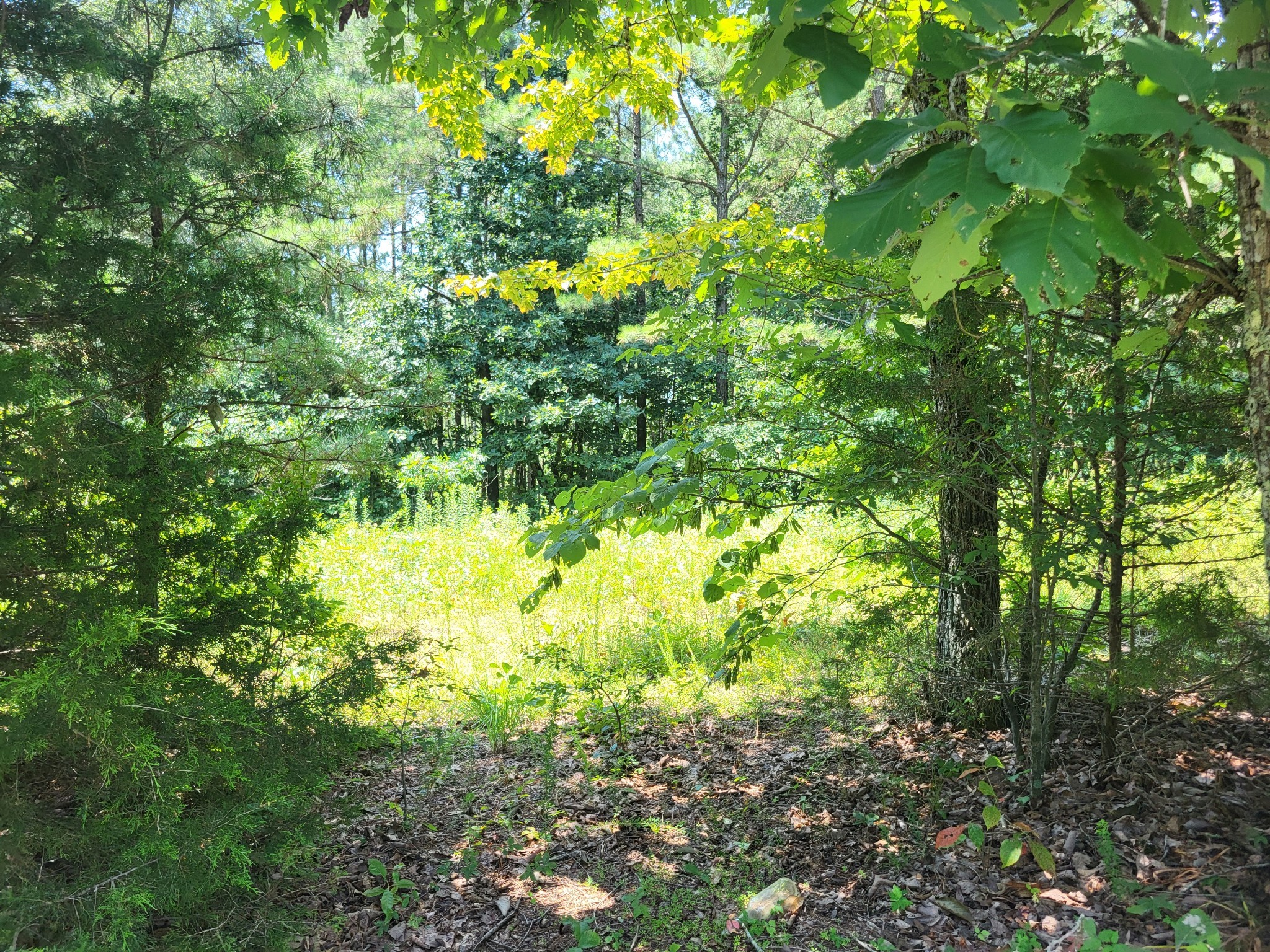 0 Strawbery Gables Holladay TN 38341