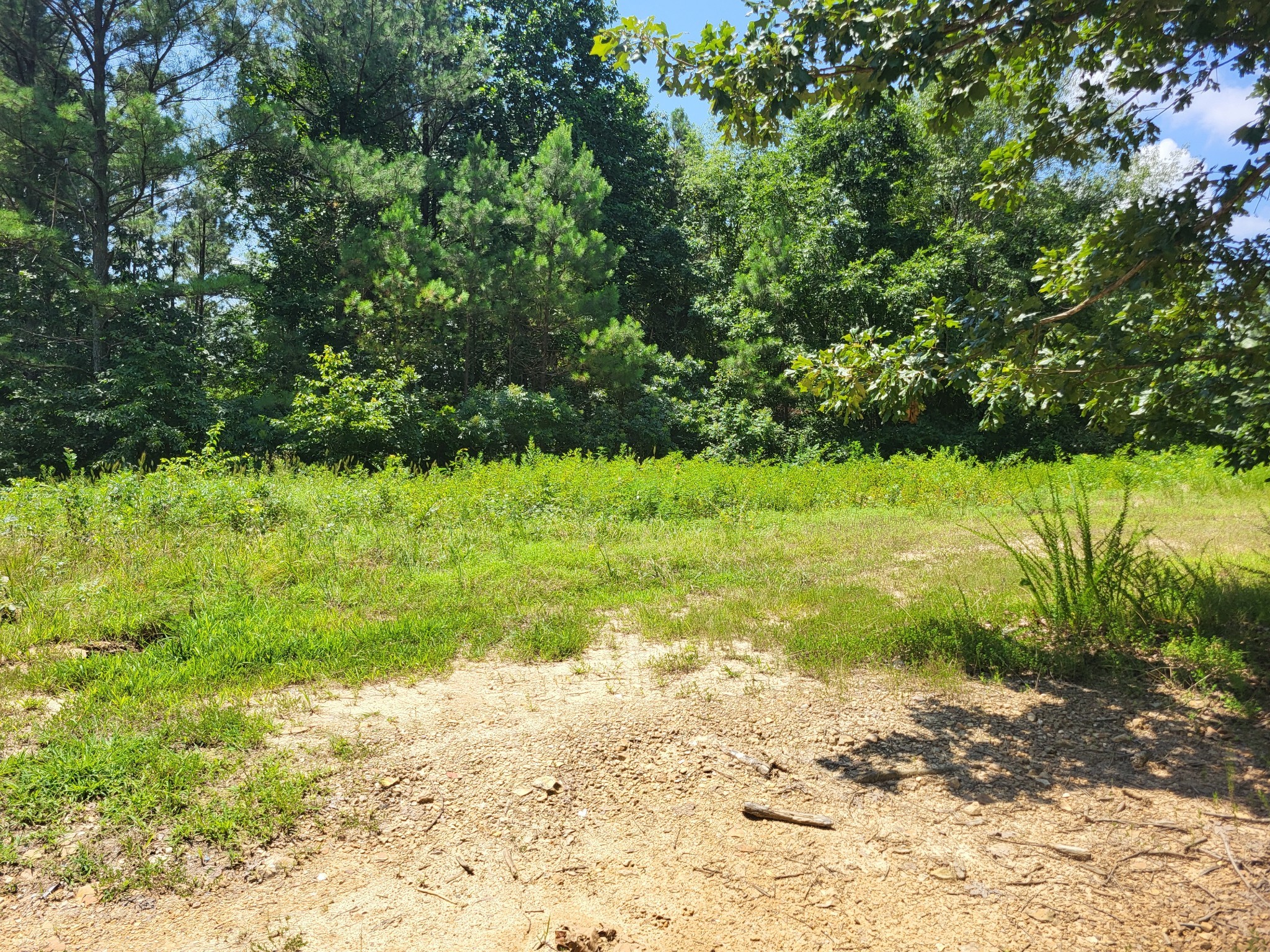 0 Strawbery Gables Holladay TN 38341
