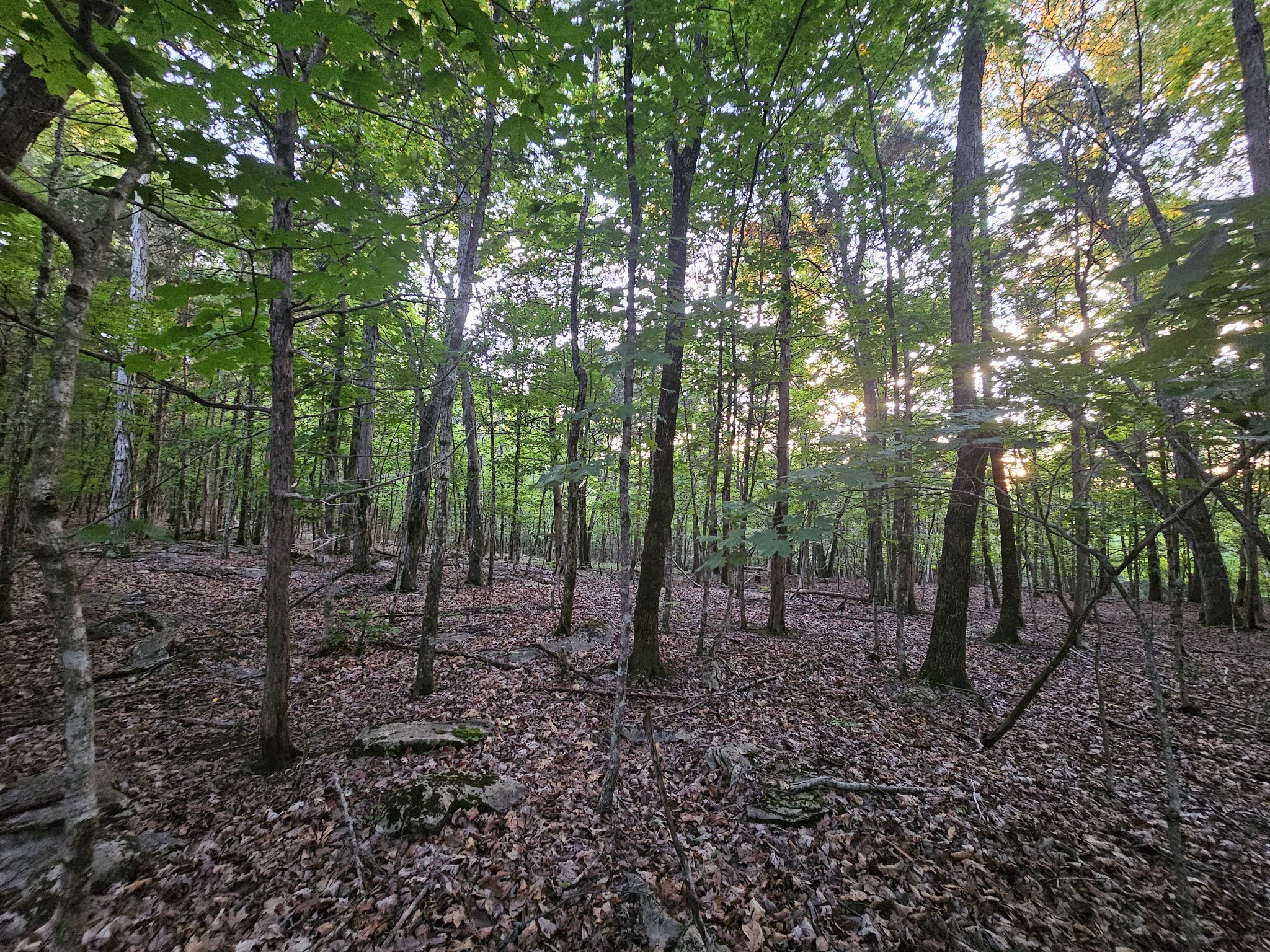 3 Sewanee Summit Road Decherd TN 37324