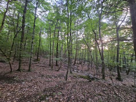 3 Sewanee Summit Road Decherd TN 37324
