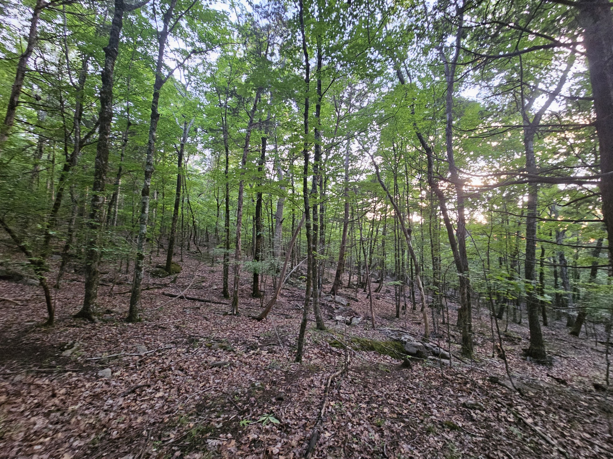 3 Sewanee Summit Road Decherd TN 37324