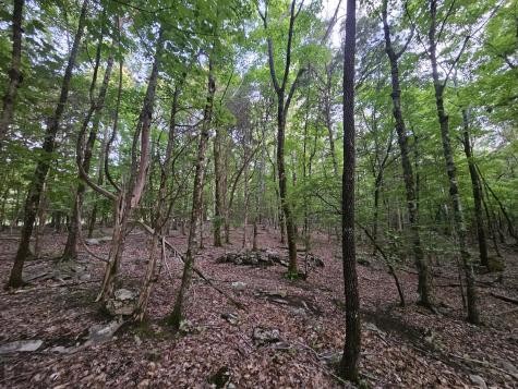 3 Sewanee Summit Road Decherd TN 37324