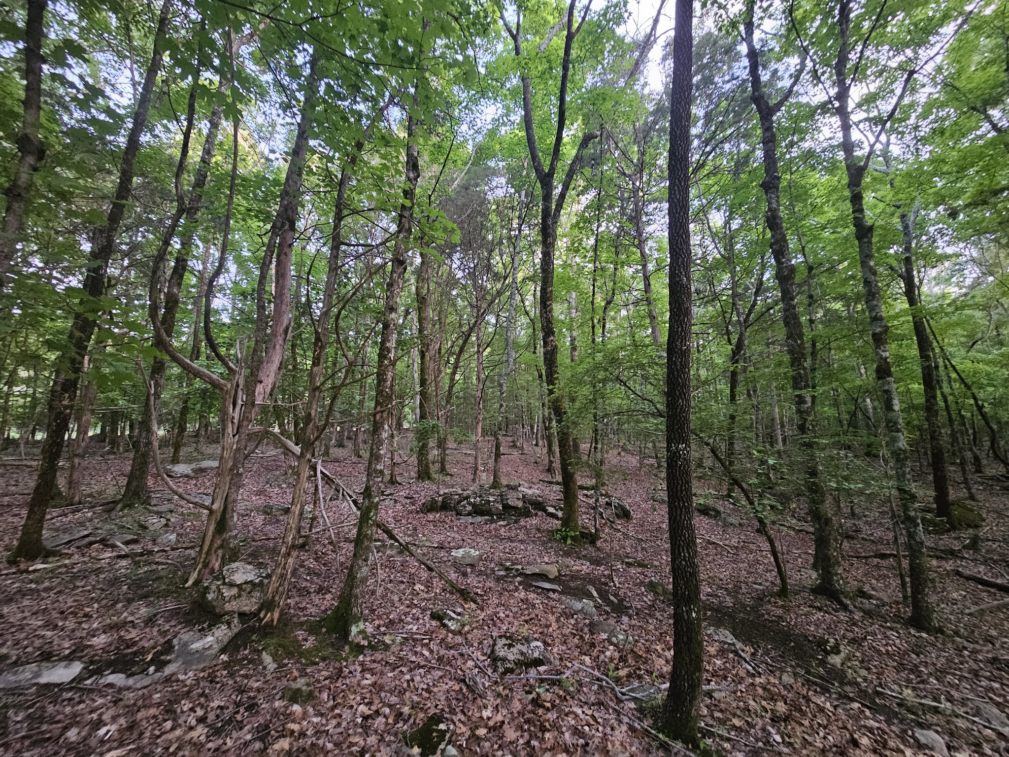 3 Sewanee Summit Road Decherd TN 37324
