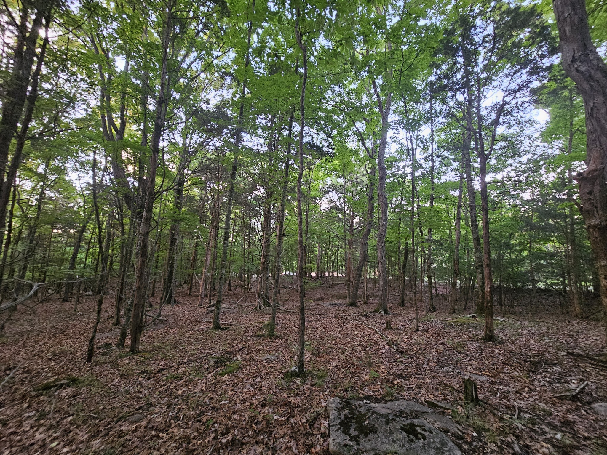 3 Sewanee Summit Road Decherd TN 37324
