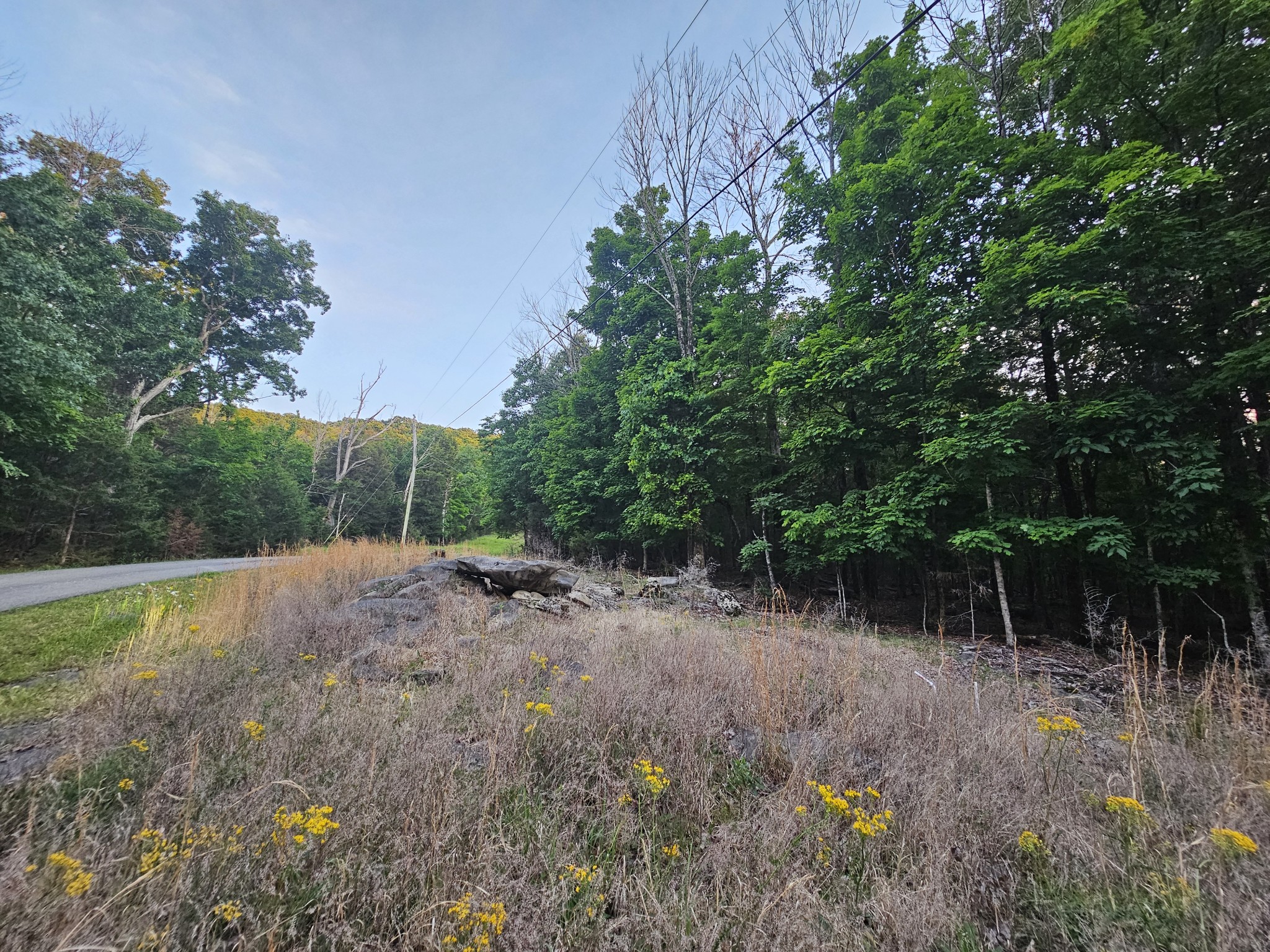 3 Sewanee Summit Road Decherd TN 37324