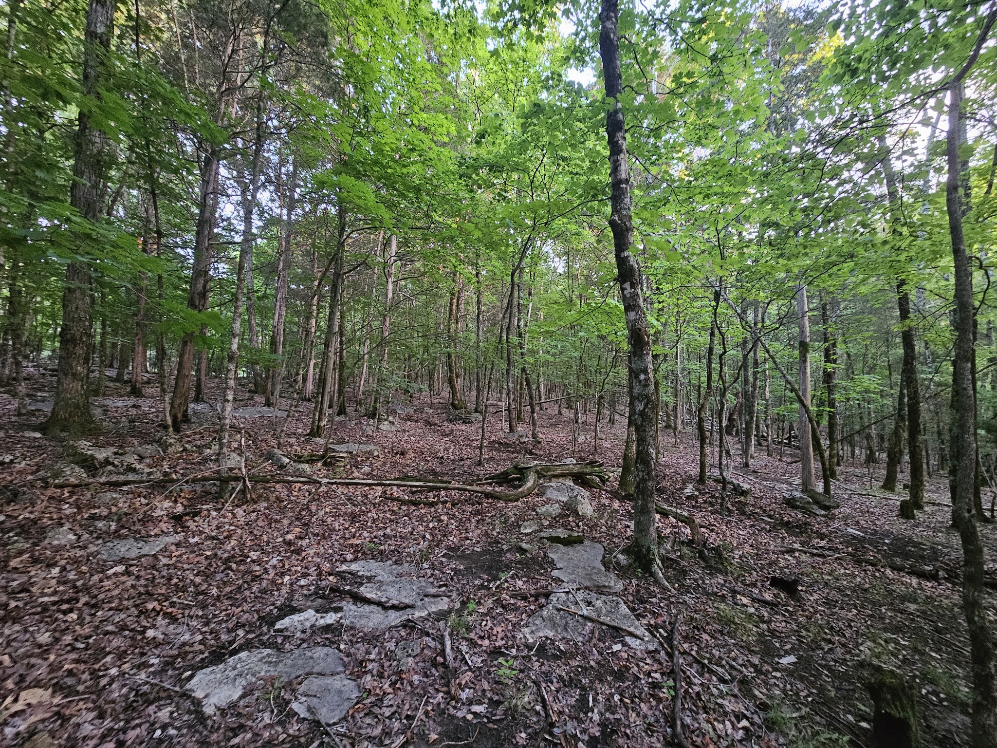 3 Sewanee Summit Road Decherd TN 37324