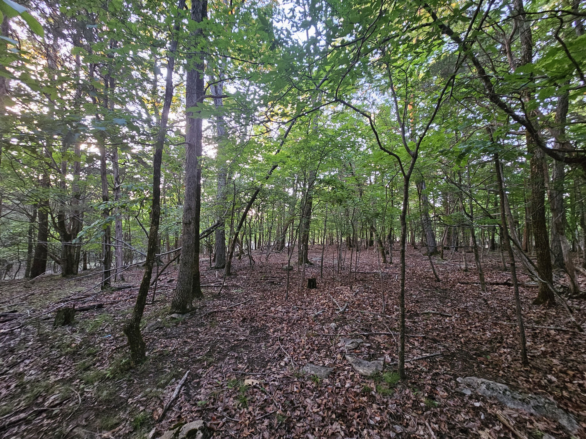 3 Sewanee Summit Road Decherd TN 37324