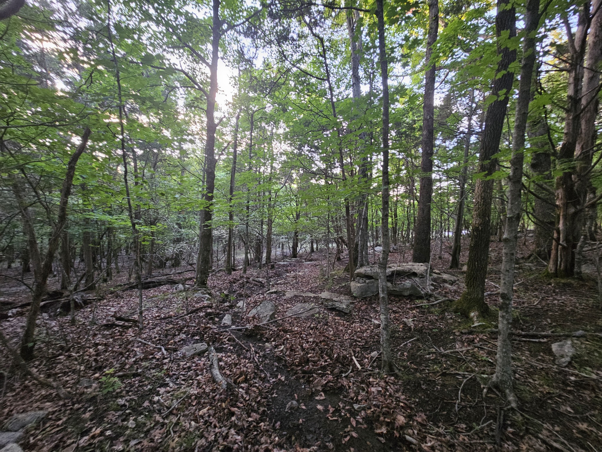 3 Sewanee Summit Road Decherd TN 37324