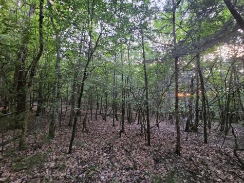 3 Sewanee Summit Road Decherd TN 37324