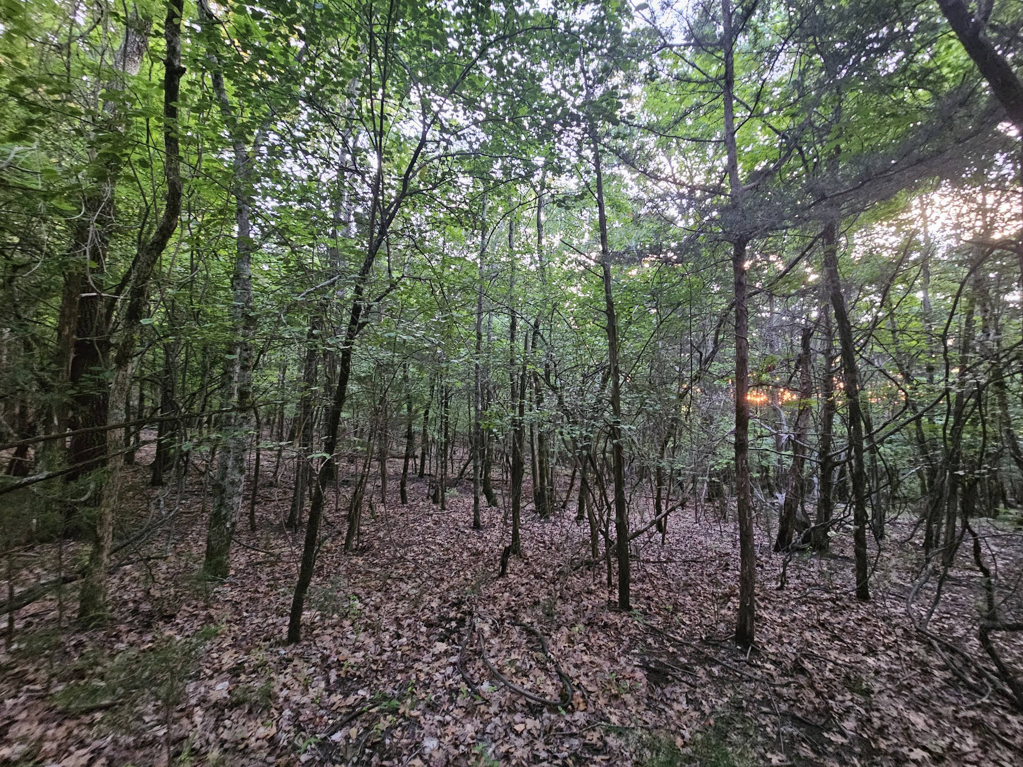 3 Sewanee Summit Road Decherd TN 37324