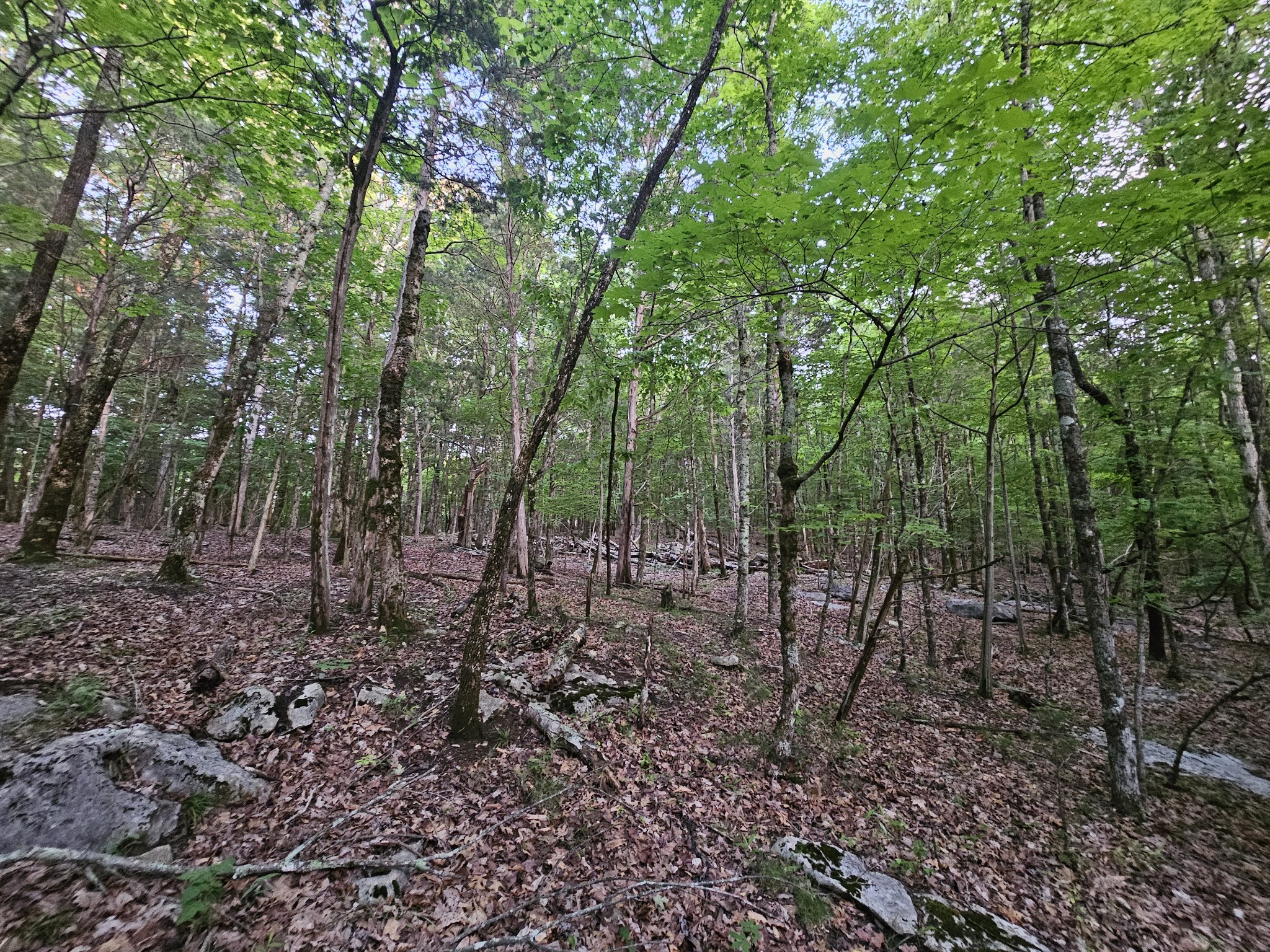 3 Sewanee Summit Road Decherd TN 37324