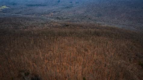 19 Higgenbotham Turnpike Altamont TN 37301