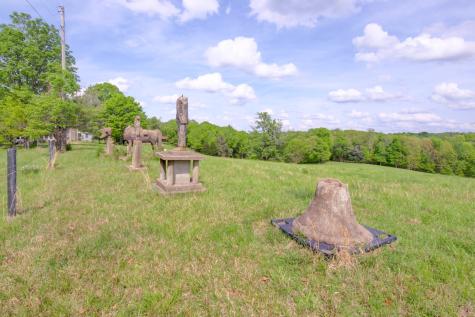 3915 Oak Ridge Road Palmyra TN 37142