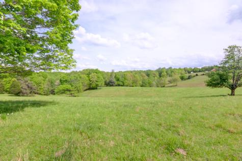 3915 Oak Ridge Road Palmyra TN 37142