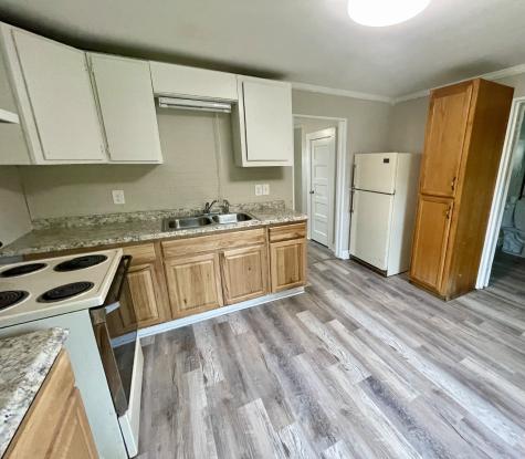 110 Shannon Road Leoma TN 38468