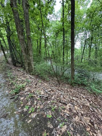 0 Wheeler Avenue Chattanooga TN 37406