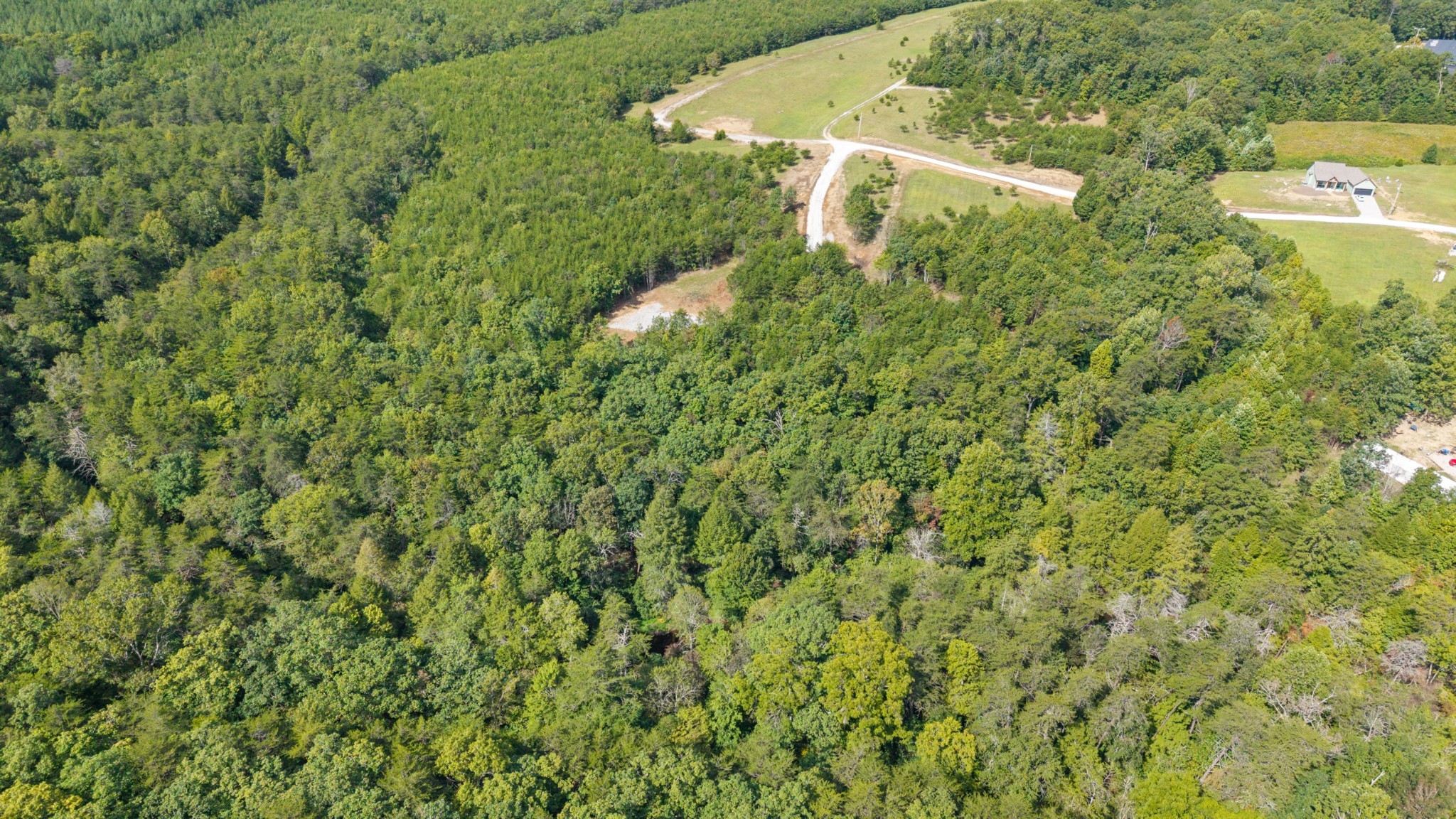 25 Creekview Lane Altamont TN 37301