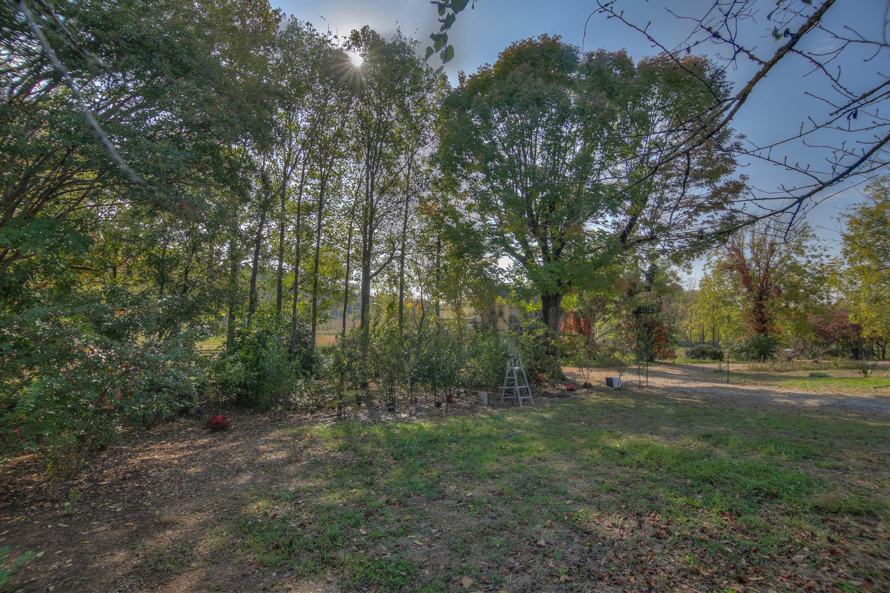 1668 Nashville Highway Columbia TN 38401