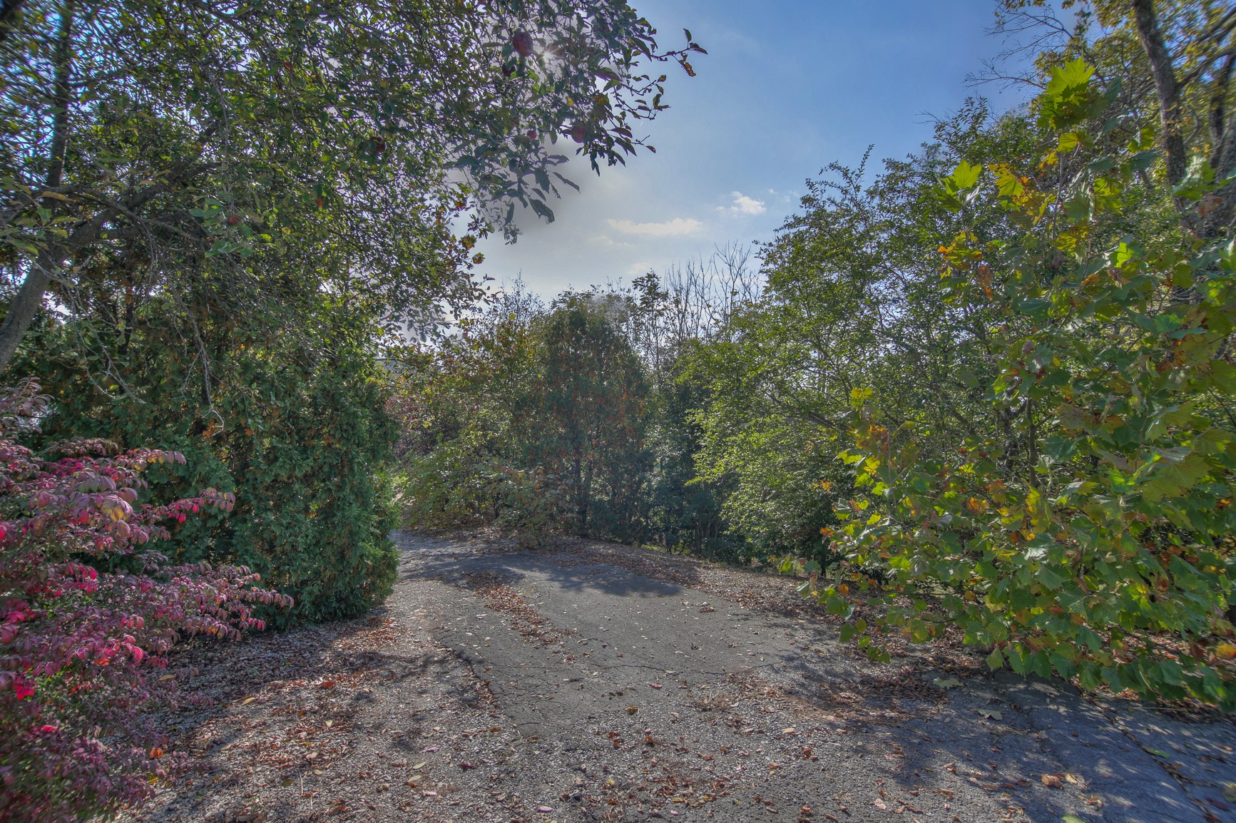 1668 Nashville Highway Columbia TN 38401