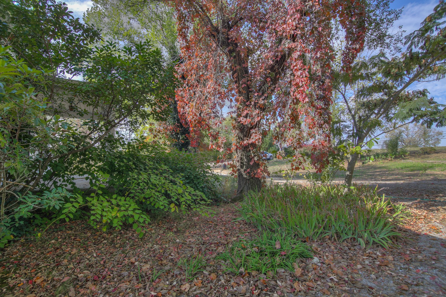 1668 Nashville Highway Columbia TN 38401