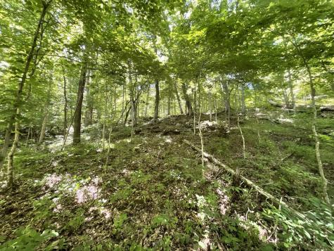 3712 Budds Creek Road Palmyra TN 37142