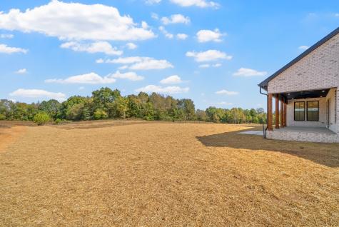 3712 Budds Creek Road Palmyra TN 37142