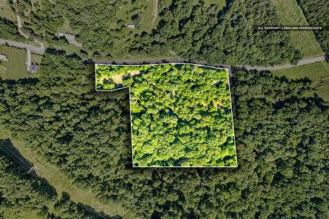 3712 Budds Creek Road Palmyra TN 37142