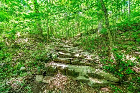 3712 Budds Creek Road Palmyra TN 37142