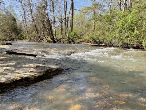 3712 Budds Creek Road Palmyra TN 37142