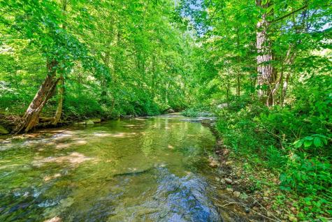 3712 Budds Creek Road Palmyra TN 37142