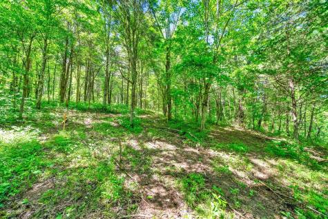 3712 Budds Creek Road Palmyra TN 37142