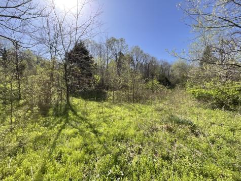 3712 Budds Creek Road Palmyra TN 37142