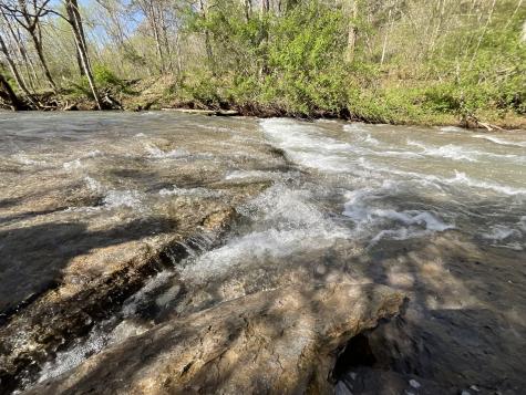 3712 Budds Creek Road Palmyra TN 37142