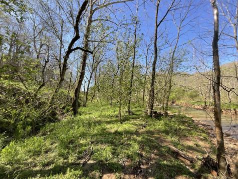 3712 Budds Creek Road Palmyra TN 37142
