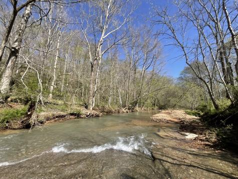 3712 Budds Creek Road Palmyra TN 37142