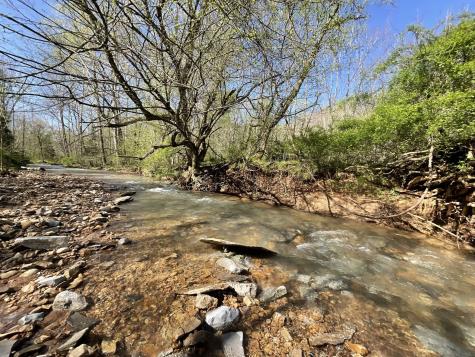 3712 Budds Creek Road Palmyra TN 37142