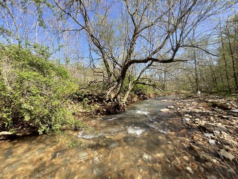 3712 Budds Creek Road Palmyra TN 37142