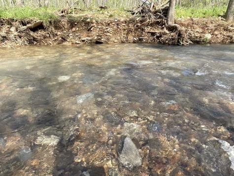 3712 Budds Creek Road Palmyra TN 37142