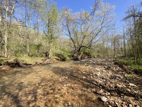 3712 Budds Creek Road Palmyra TN 37142