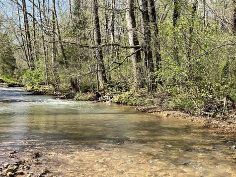 3712 Budds Creek Road Palmyra TN 37142