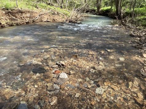 3712 Budds Creek Road Palmyra TN 37142