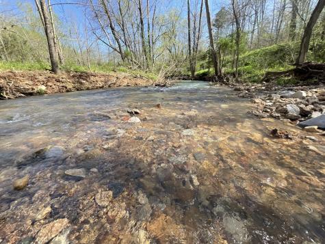 3712 Budds Creek Road Palmyra TN 37142